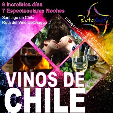 VINOS DE CHILE